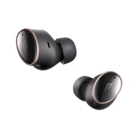 Беспроводные TWS наушники с микрофоном 1MORE EVO TRUE Wireless Earbuds EH902-Black