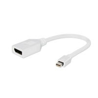 Переходник miniDisplayPort - DisplayPort GEMBIRD (A-mDPM-DPF-001), вилка-розетка, DisplayPort v 1, длина - 0.16 метра, белый