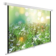 Экран Cactus 200x200см WallExpert CS-PSWE-200x200-WT 1:1 настенно-потолочный рулонный   Экран Cactus 200x200см WallExpert CS-PSWE-200x200-WT 1:1 настенно-потолочный рулонный