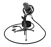 Микрофон RITMIX RDM-160, черный   Микрофон RITMIX RDM-160, черный