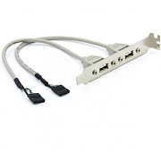 Выносная планка 2 USB2.0 порта KS-is KS-565