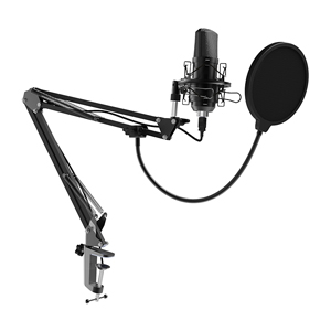 Микрофон RITMIX RDM-169 Black микрофон ritmix rdm 160 black