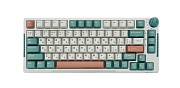 Беспроводная игровая клавиатура Royal Kludge RK-H81, (75%/Механическая/Бир.свитчи), Бежевая/Зеленая