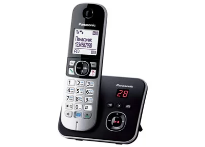 Телефон Panasonic KX-TG6821RUB-0