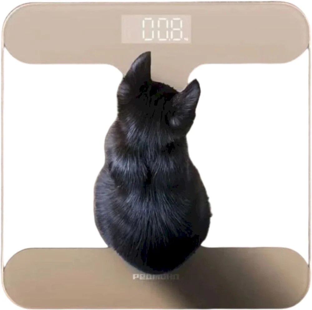 Весы электронные напольные Redmond SB1811, Бежевый  (180 кг)-4
